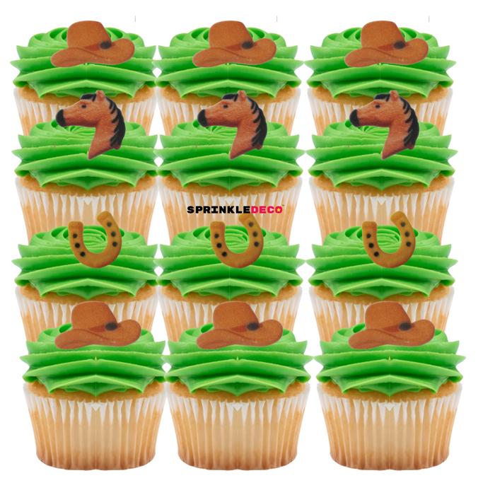 Cowboy Decorative Sugars - 12ct, Asstd.