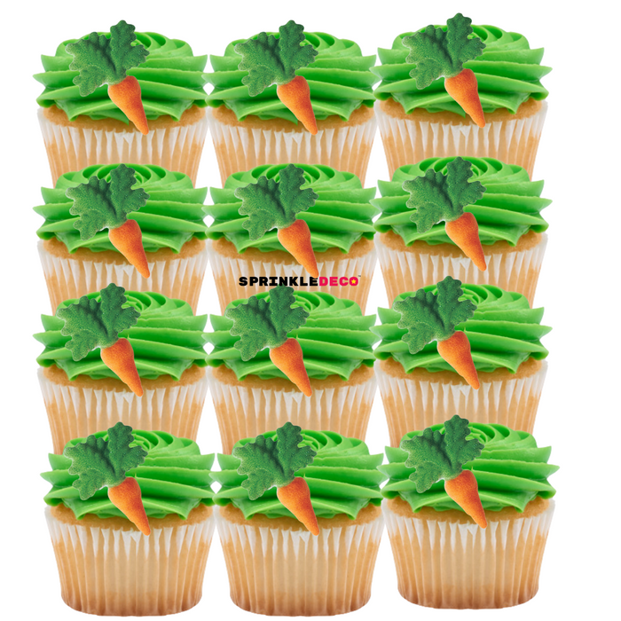 Carrot Edible Icing Toppers 12ct