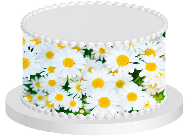 Daisy on Green Edible Cake Decoration Wrap