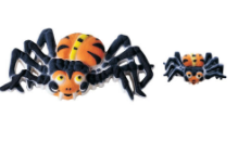 Spider Decorative Sugars - 12ct, Assorted