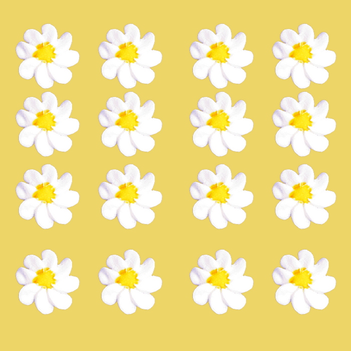 Daisies Flowers Royal Icing Decorations - 12ct