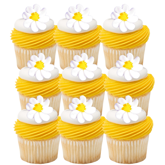 Daisies Flowers Royal Icing Decorations - 12ct